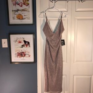 EXPRESS Shimmer Dress